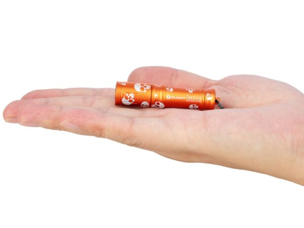 Descubra como uma Lanterna de Chaveiro pode ser uma grande aliada em situações de emergência